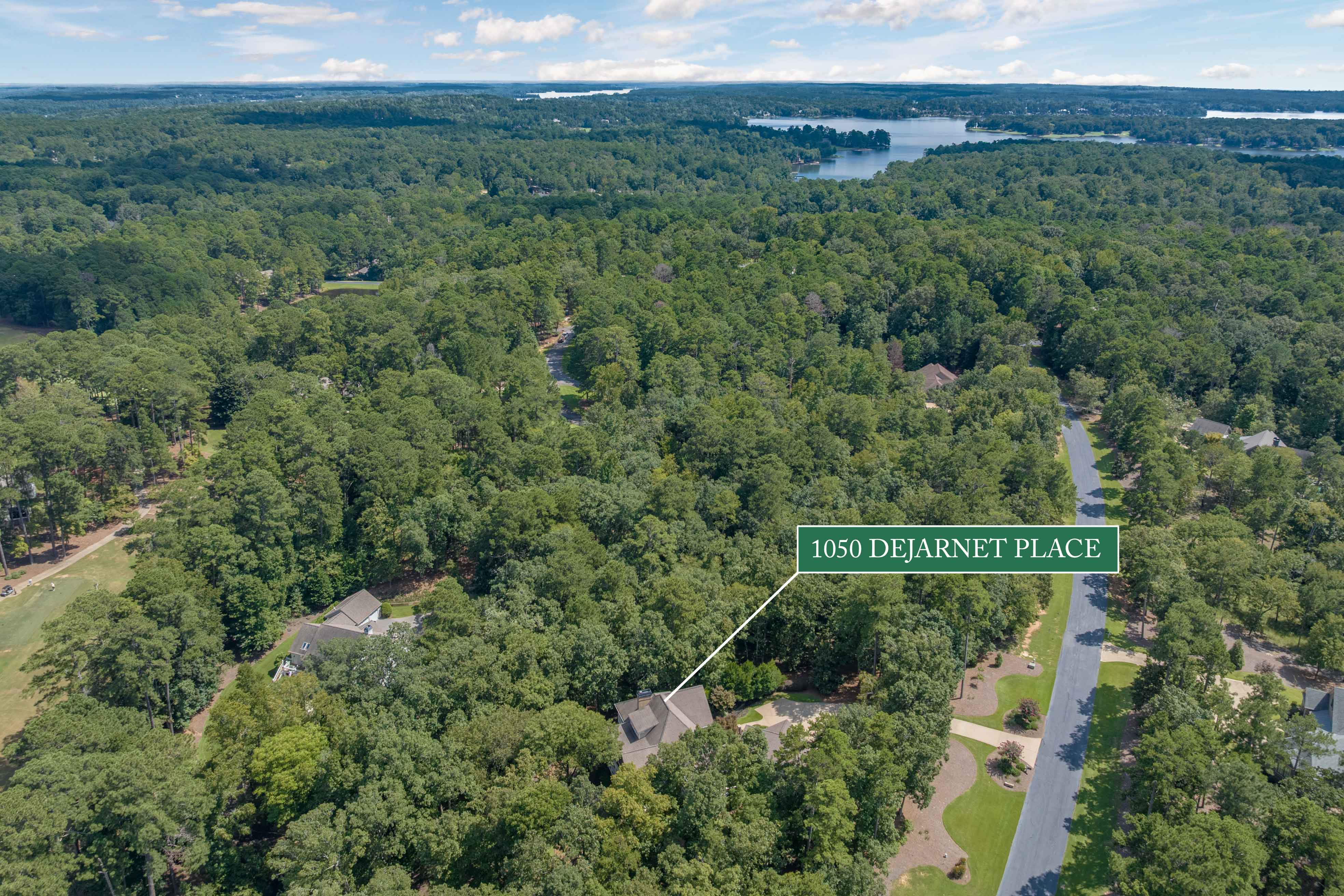 1050 Dejarnet Place image 60